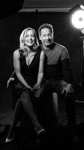 Gillovny 9